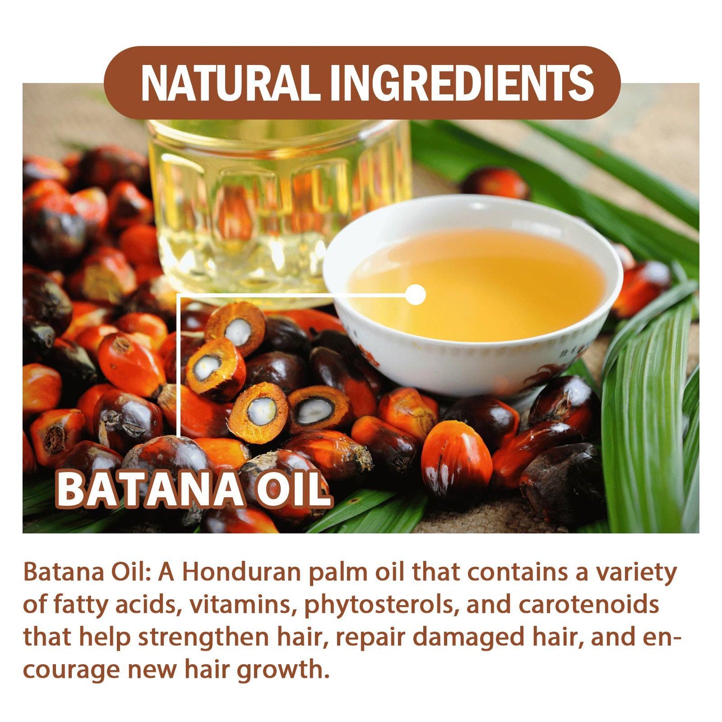 Batana Oil From Honduras - Get Fuller, Thicker, Healthier Hair - Great Gifts For Women Men Conditioner Haircare Silky - Hair Nutrition